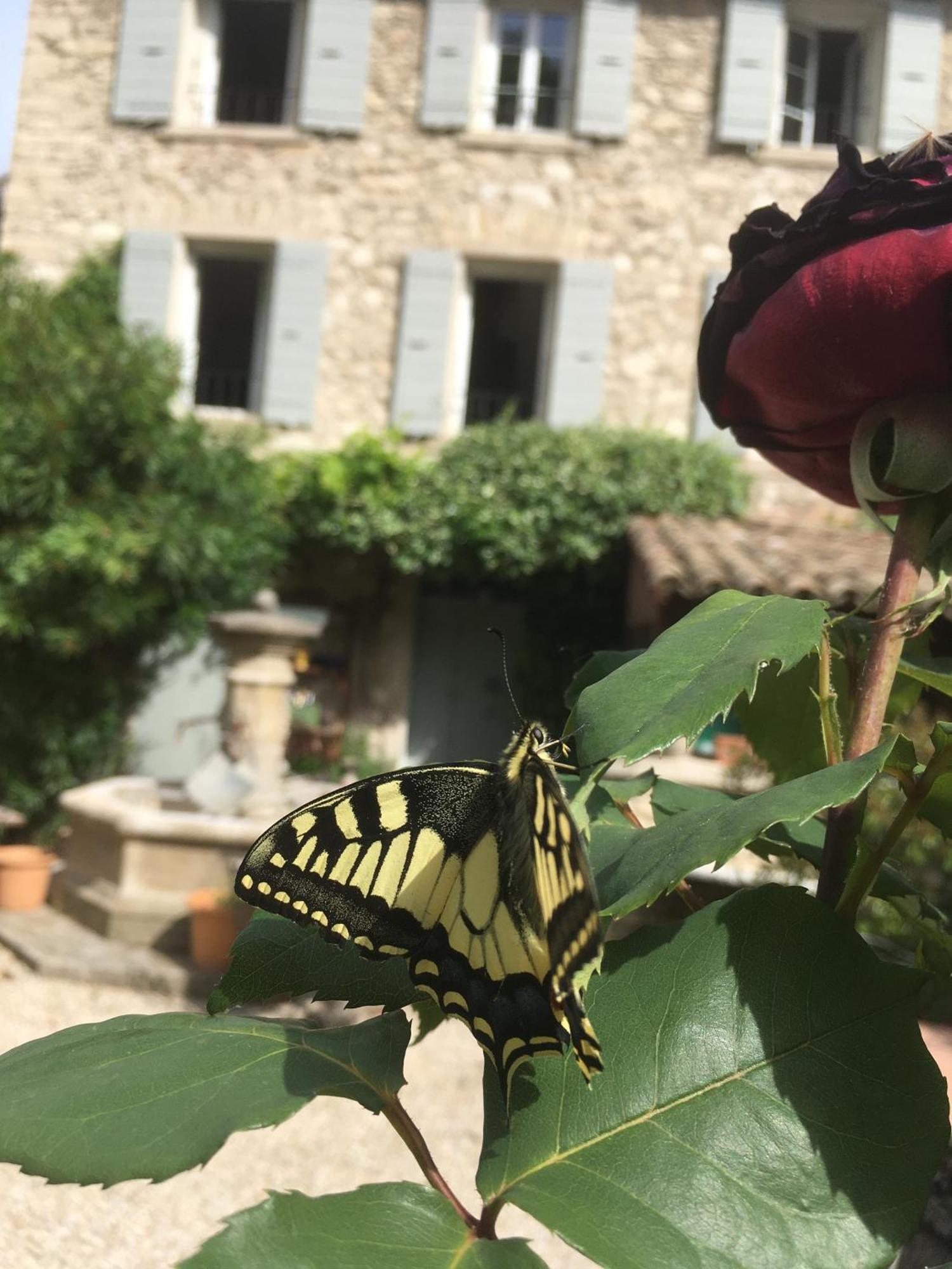 לינה וארוחת בוקר La Figuiere Fontaine De Vaucluse מראה חיצוני תמונה